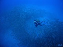 In the south of Gran Canaria are a few places with big sc... by Arthur Telle Thiemann 